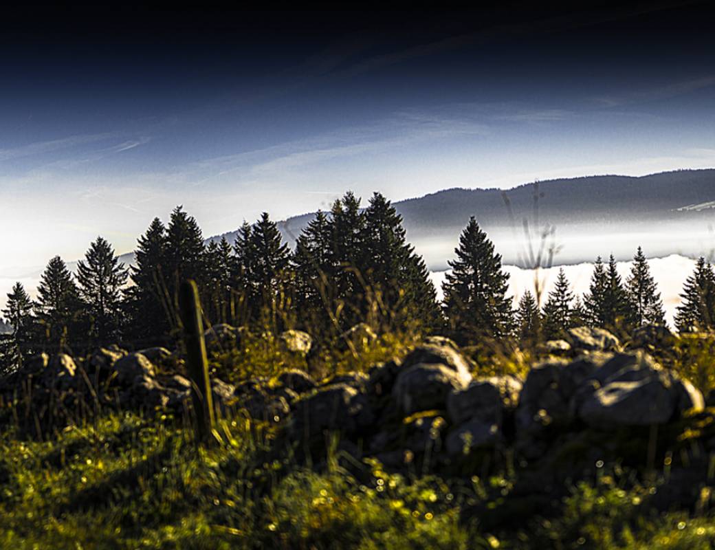 Vallée de Joux, The heart of fine Swiss watchmaking